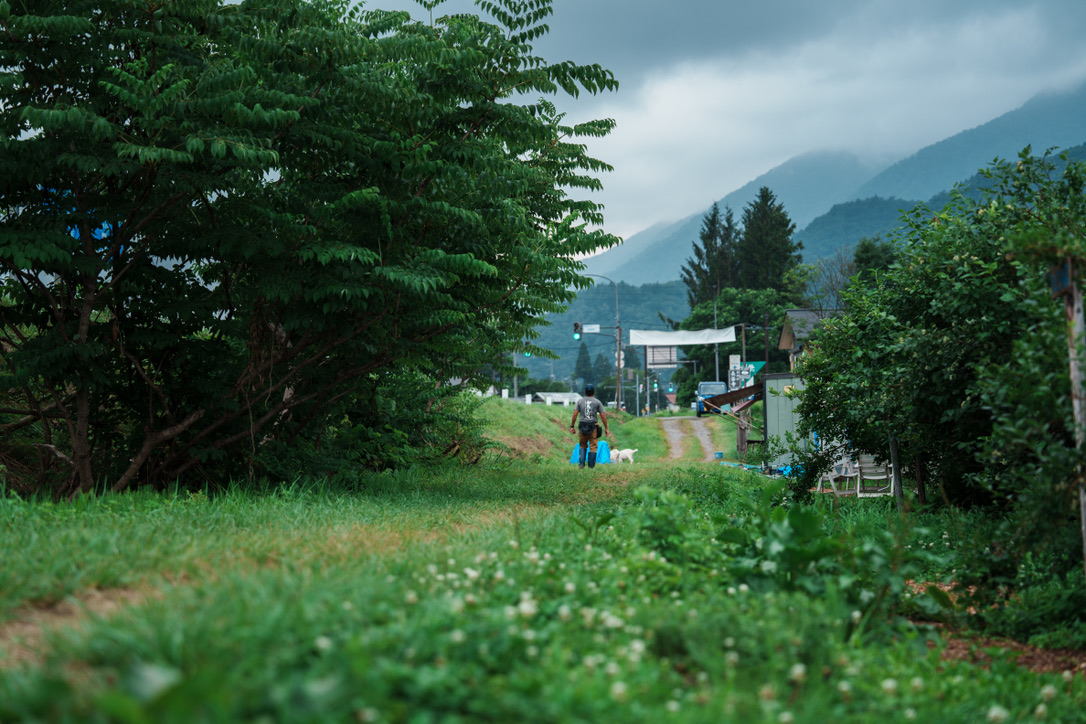 69F49EEF-274D-4AEE-848E-0C76D7442875_1_105_c Scenic path leading to a Hakuba blueberry farm with a local farmer and goats, surrounded by lush greenery and mountain views in Nagano, Japan.