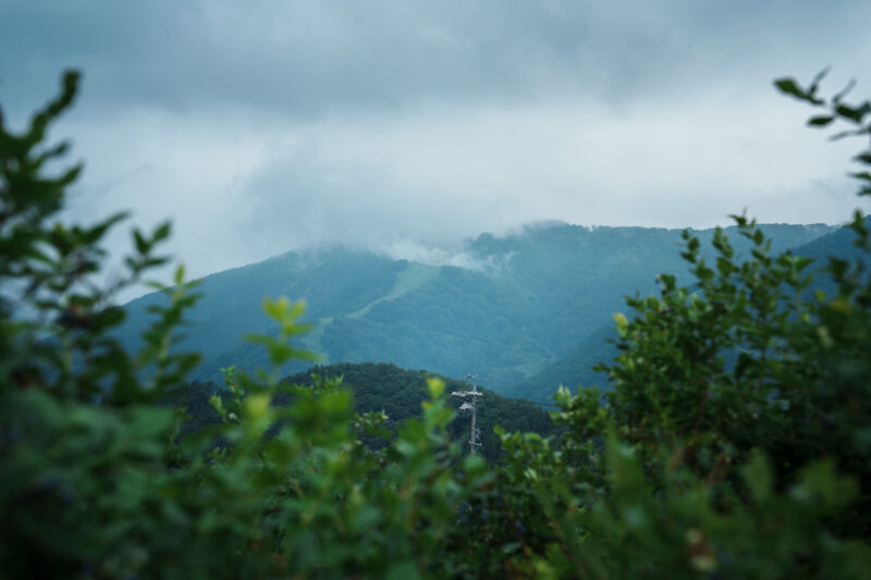 Misty mountain views from a Hakuba blueberry farm, overlooking ski slopes and lush summer greenery in Nagano, Japan