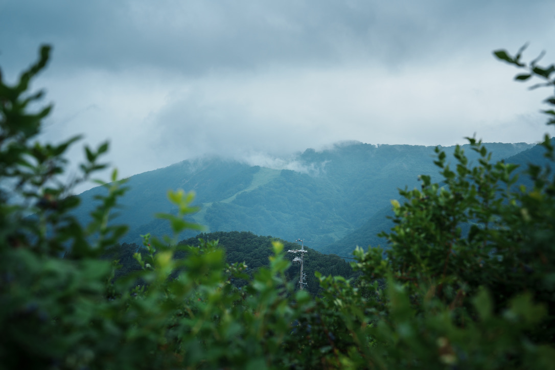 9E3D275D-D33C-4D31-BF06-9789E33FE655_1_105_c Misty mountain views from a Hakuba blueberry farm, overlooking ski slopes and lush summer greenery in Nagano, Japan
