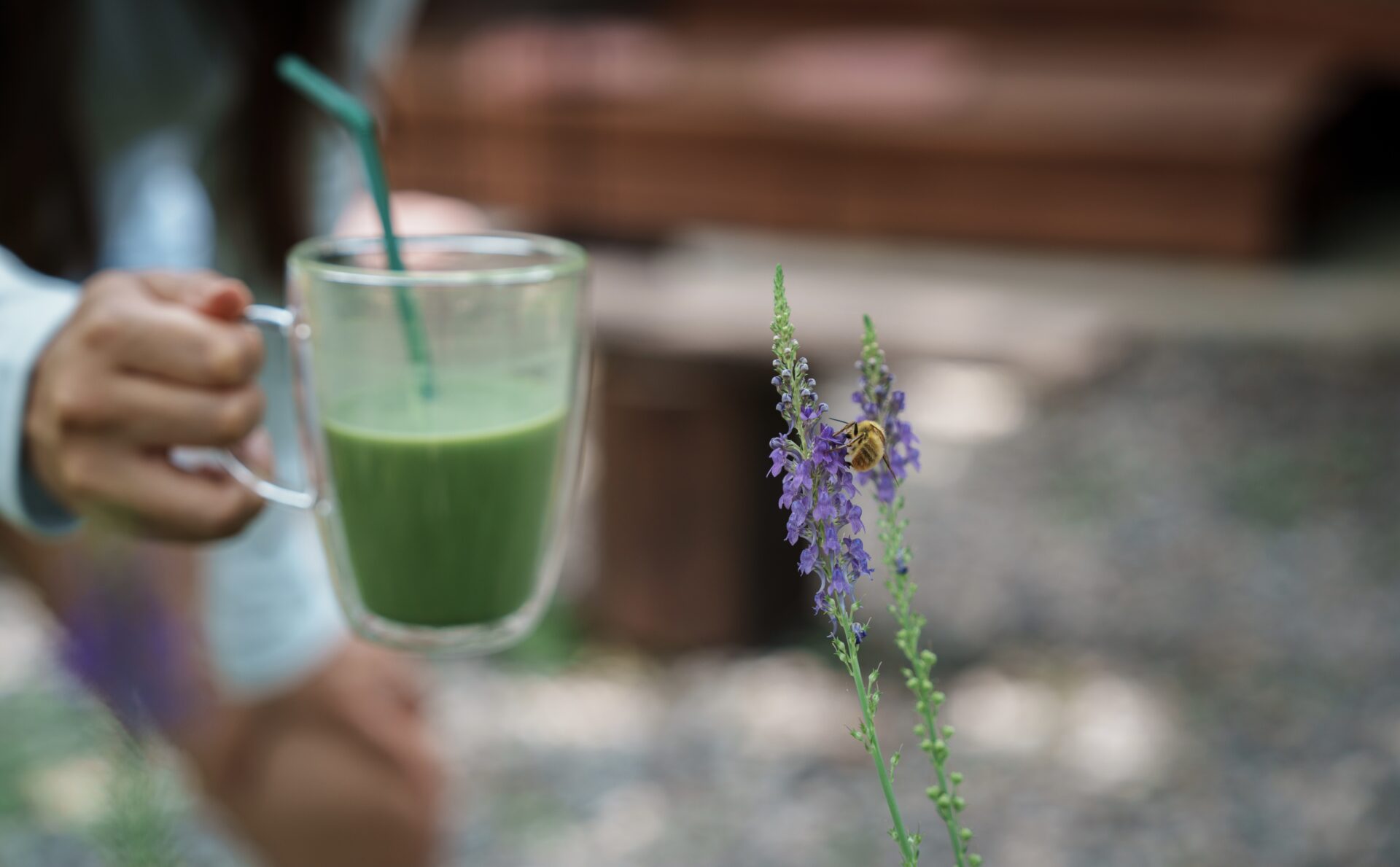 Hand holding glass cup of green matcha latte beside a bee collecting pollen from a purple wildflower
