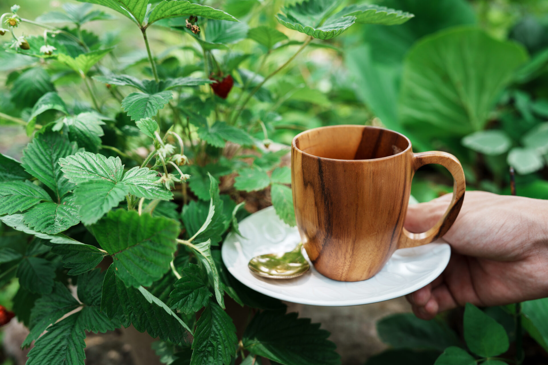 Wooden mug of coffee held next to fresh strawberry plant with ripe berries