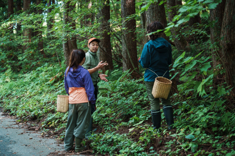 Otari Nature School guide explaining mushroom picking to two girls in the forest of Otari, Nagano