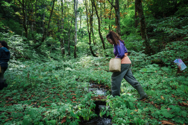 68415860-8DC6-44AC-97BF-7A1F56464661_1_105_c