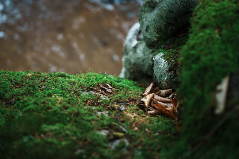 Men’s open-air bath at Amakazari Kogen Onsen surrounded by moss and lush summer greenery