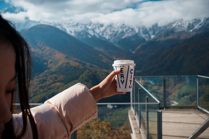 CHAVATY HAKUBA’s counter display featuring freshly baked scones under glass domes and bottled milk tea lattes in houjicha, matcha, and original flavors — a stylish tea latte café in Hakuba known for artisanal sweets and Japanese tea culture.
