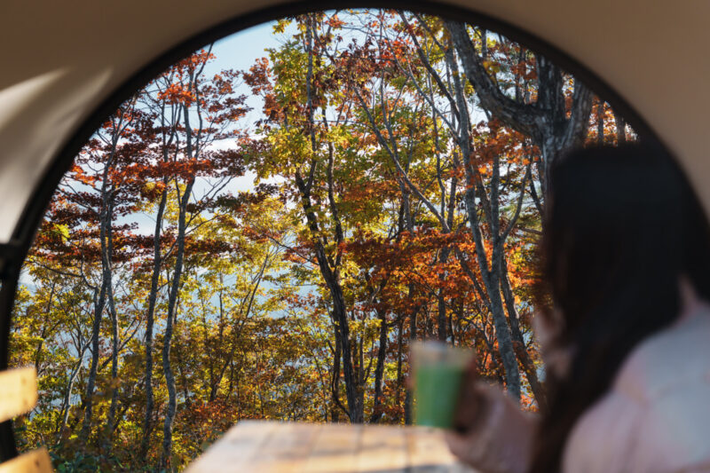 Outdoor seating area at CHAVATY HAKUBA