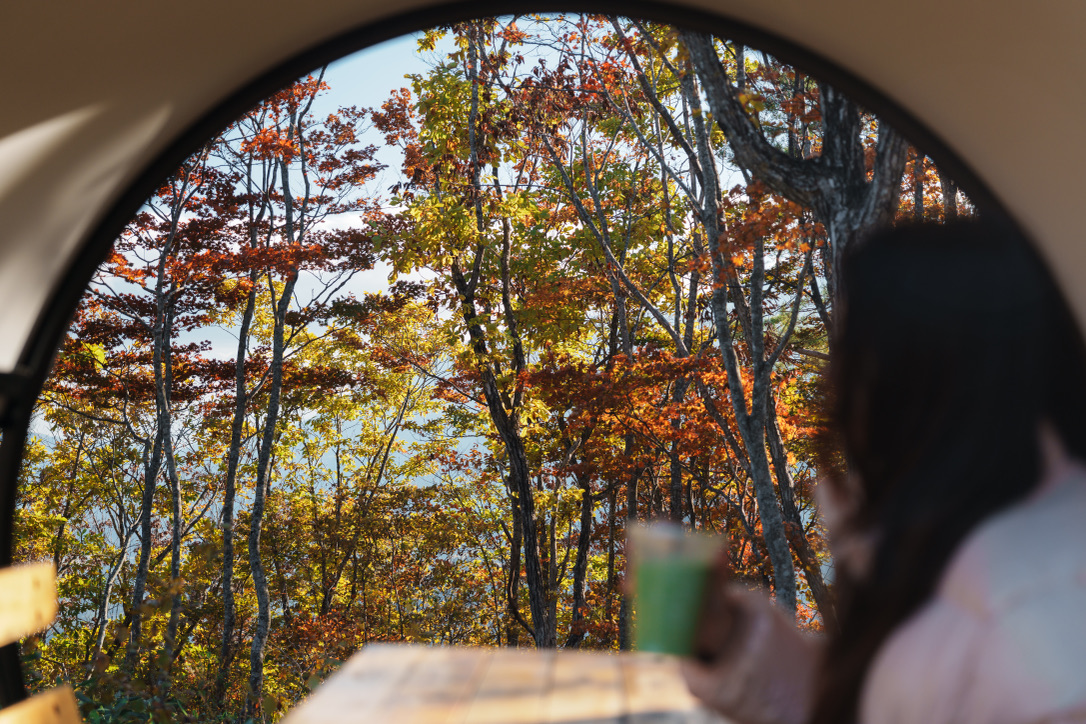 7566DF35-9604-408F-BBD3-742368D0B90E_1_105_c Outdoor seating area at CHAVATY HAKUBA