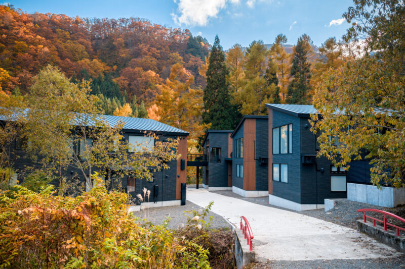 DJI_20251106144119_0307_D-HDR