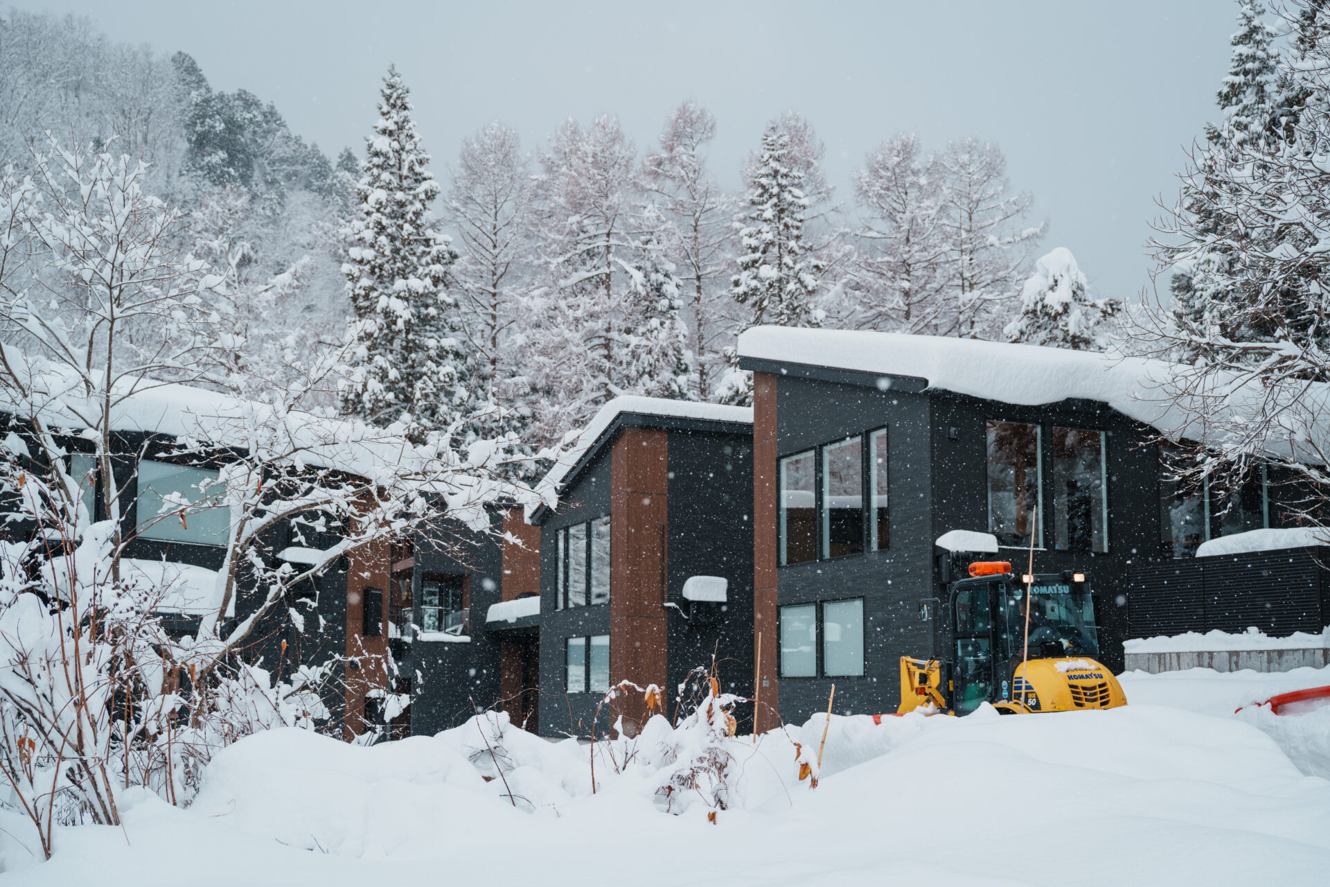 DSC09034 Gelato with the alps in the background.