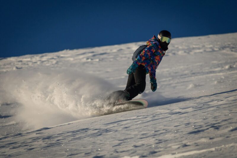 Bear Burger from Bears Café Kumaza in Hakuba, Japan, served with thick-cut potato wedges and topped with lettuce, tomato, onion, and sauce, labeled with a Japanese flag reading “bear” (熊).
