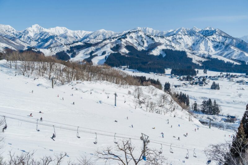 Delicious pasta at Trattoria Liberta in Hakuba, Nagano