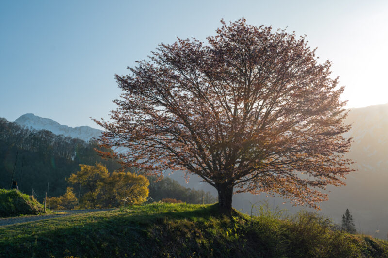 Interior of Kira Kira Glass studio in Hakuba, Nagano, featuring warm wooden beams, handmade glass decorations, and a cozy workshop area with natural light and mountain views.